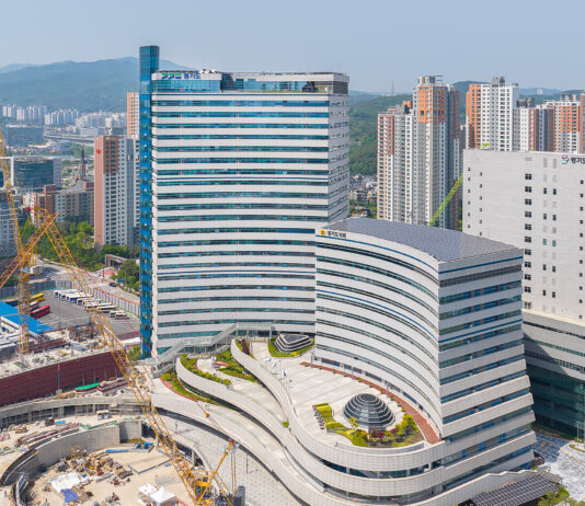 “제발 날 버리지 마세요” 경기도, 설 연휴 기간 유기동물 긴급구조 체계 마련