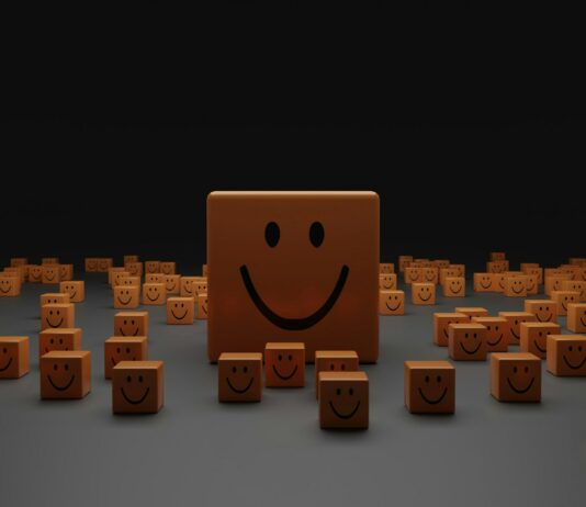 식단과 운동: 몸에 좋은 선택, 건강한 결과 brown and black cardboard blocks