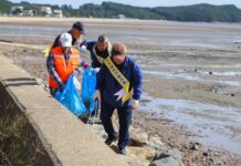 경기도, ‘바다가꿈 프로젝트’ 갯벌정화활동 실시