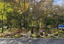 매헌시민의숲에서 강원도 자연 품은 벤치정원을 만나보세요