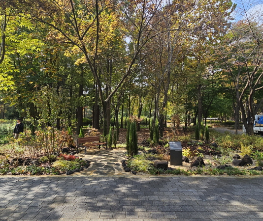 매헌시민의숲에서 강원도 자연 품은 벤치정원을 만나보세요