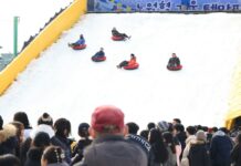올 겨울은 노원구에서 다이나믹하게~ 겨울 테마파크 개장