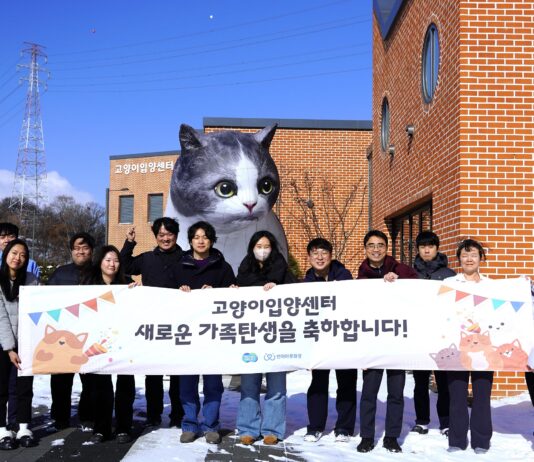 고양이 입양 맛집 “반려마루 화성 고양이입양센터”.. 센터 개관 9개월 만에 유기묘 100마리 새로운 가족 만나