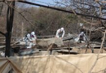 달동네의 추억도 불편도 이제는 역사 속으로… 노원, 백사마을 철거 시작하며 재개발사업 박차