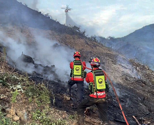 연일 폭염 이어져 고온건조…”여름에도 산불 주의해야”