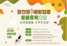 광견병 안심하세요! 서울시, 예방접종 지원 및 미끼예방약 살포
