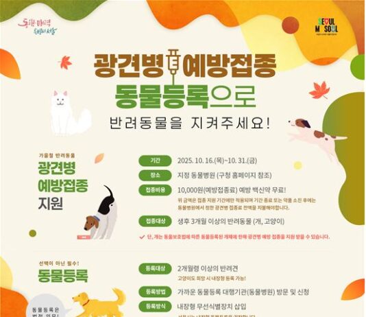 광견병 안심하세요! 서울시, 예방접종 지원 및 미끼예방약 살포