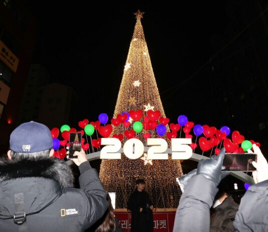 공릉에서 수락까지 반짝반짝~ 노원의 겨울이 빛으로 반짝인다! 노원, 겨울맞이 2개소 조성